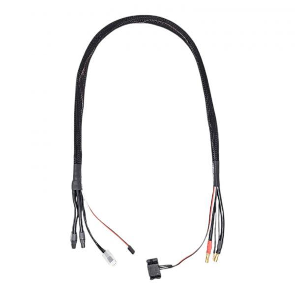 2S 50A Synchronous Charge Cable by RC Discharger (XT60 & 5mm) with Temperature Sensor