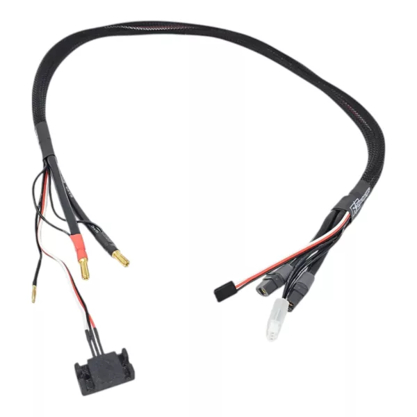 Regenerative Discharger 2S – Bruno Coelho US Edition - Image 9